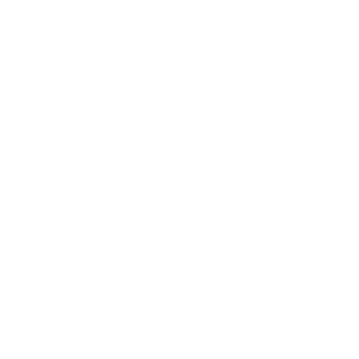 Vulnerability Icon